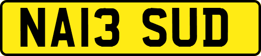 NA13SUD
