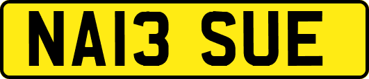 NA13SUE