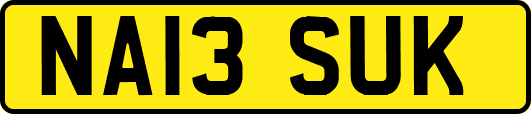 NA13SUK