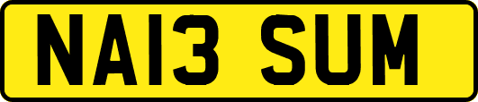 NA13SUM