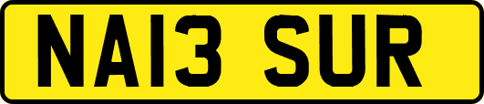 NA13SUR