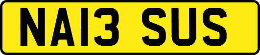 NA13SUS
