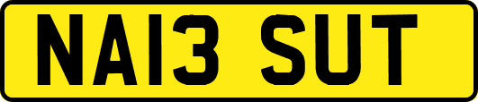 NA13SUT