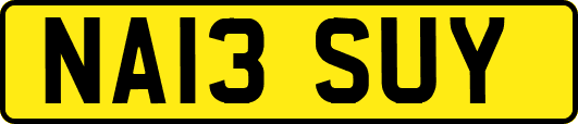 NA13SUY