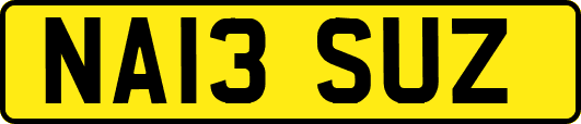 NA13SUZ