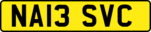 NA13SVC