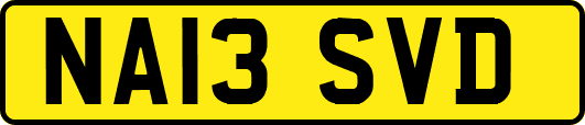 NA13SVD