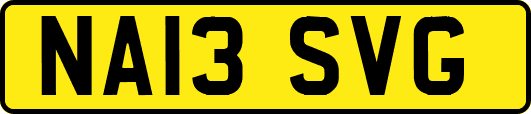 NA13SVG