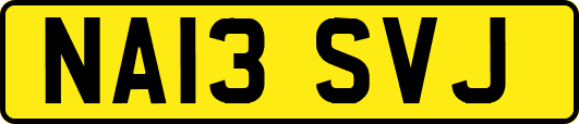 NA13SVJ