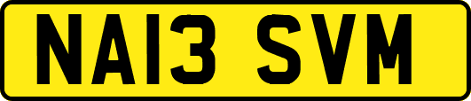NA13SVM