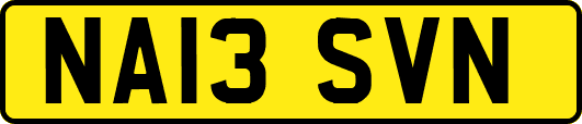 NA13SVN