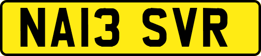 NA13SVR