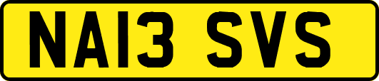 NA13SVS