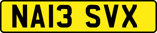 NA13SVX