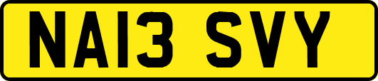 NA13SVY