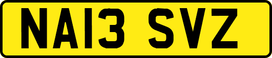 NA13SVZ