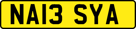 NA13SYA