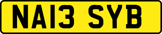 NA13SYB