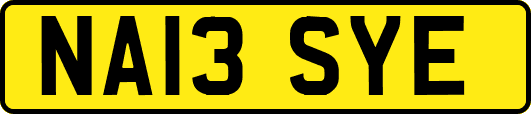 NA13SYE