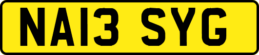 NA13SYG