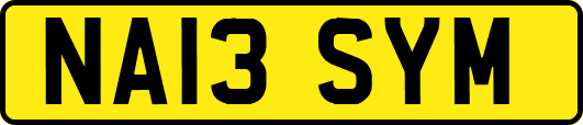 NA13SYM