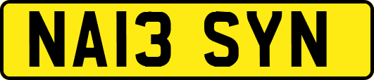 NA13SYN