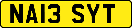 NA13SYT