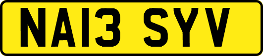 NA13SYV