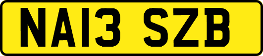NA13SZB