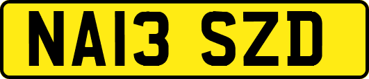 NA13SZD