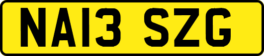 NA13SZG