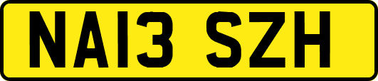 NA13SZH
