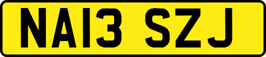 NA13SZJ