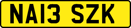 NA13SZK