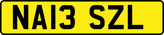 NA13SZL