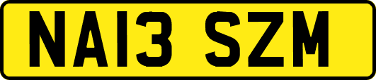 NA13SZM