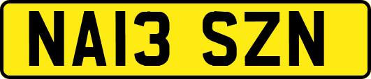 NA13SZN