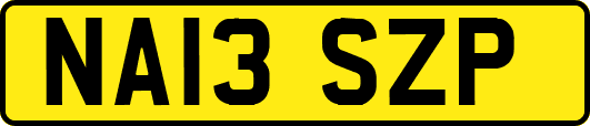 NA13SZP