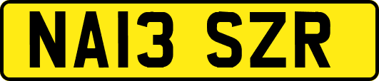 NA13SZR
