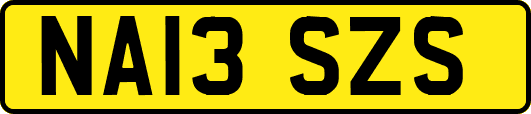 NA13SZS