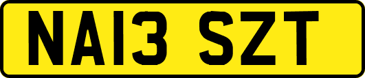 NA13SZT