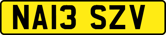 NA13SZV