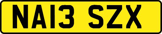 NA13SZX