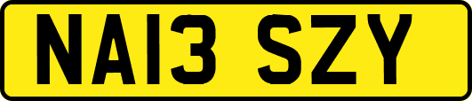 NA13SZY