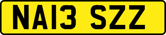 NA13SZZ