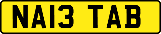 NA13TAB