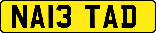 NA13TAD