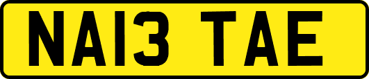 NA13TAE