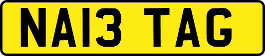 NA13TAG