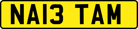 NA13TAM
